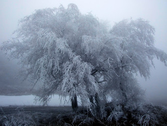 Similar image 995856