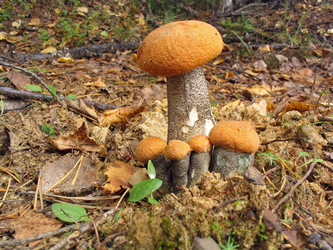 Similar image 995857