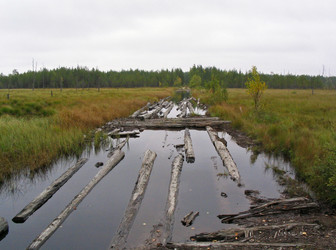 Similar image 995864