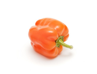 Similar image 995951