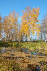 Similar image 996033