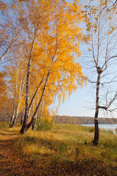 Similar image 996034