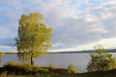 Similar image 996036