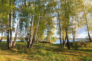 Similar image 996037