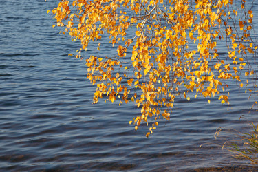 Similar image 996039