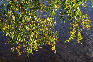 Similar image 996046