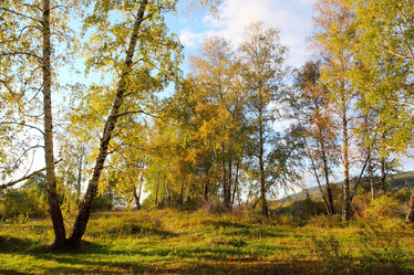 Similar image 996054