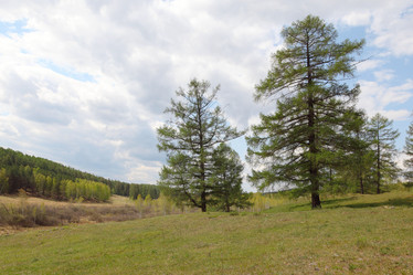 Similar image 996062