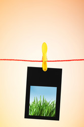 Similar image 996329