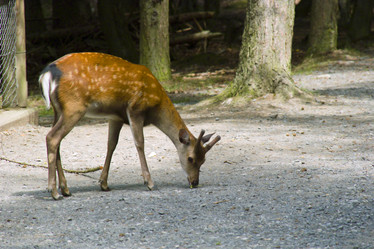 Similar image 996506