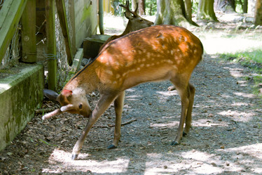 Similar image 996509