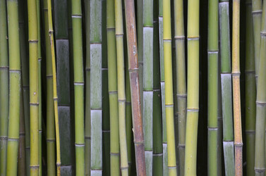 Similar image 996616