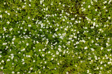 Similar image 996756