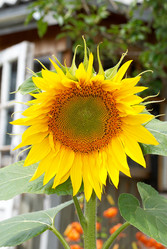 Similar image 996768