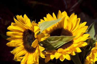 Similar image 996769