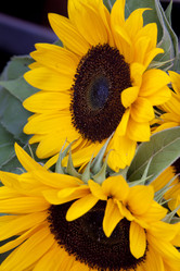 Similar image 996771