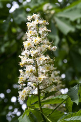 Similar image 996827