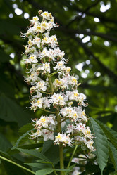 Similar image 996828