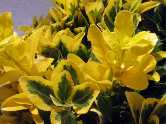 Similar image 996861