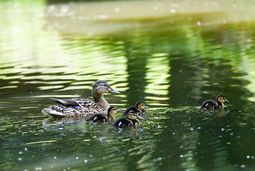 Similar image 996949