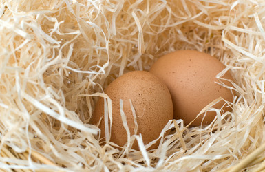 Similar image 996956