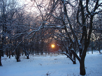 Similar image 997017