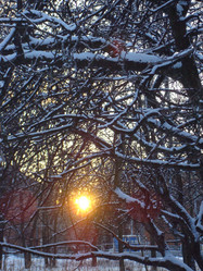 Similar image 997023