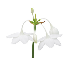 Similar image 997063