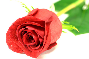 Similar image 997073