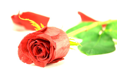 Similar image 997079