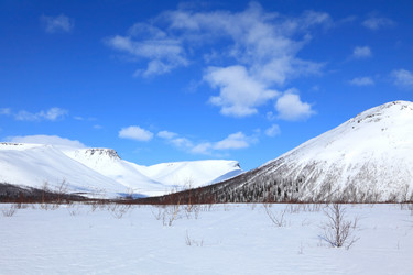 Similar image 997139