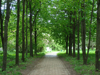 Similar image 997144