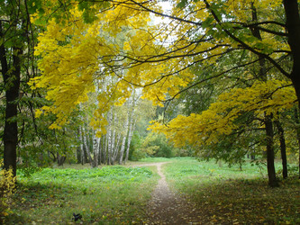 Similar image 997156