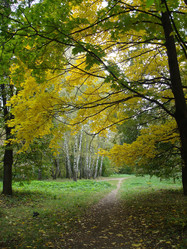 Similar image 997159