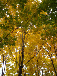 Similar image 997171