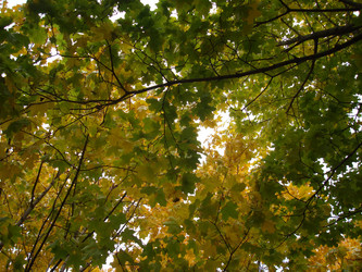 Similar image 997172