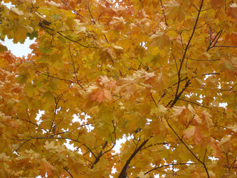 Similar image 997173