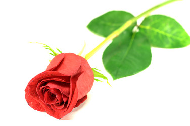 Similar image 997192