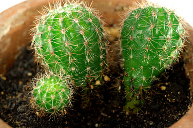 Similar image 997230