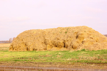 Similar image 997237