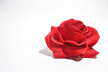 Similar image 997262