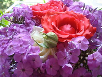 Similar image 997318