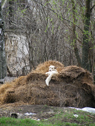 Similar image 997360