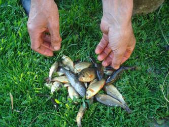 Similar image 997520