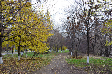 Similar image 997526