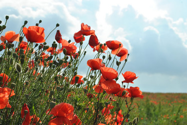 Similar image 997555