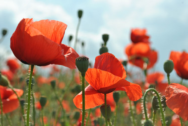 Similar image 997561