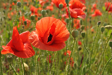 Similar image 997563