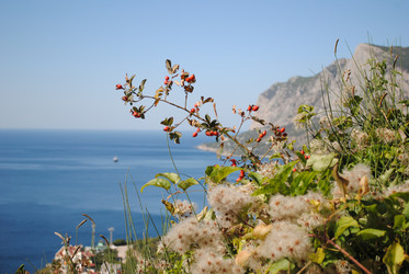 Similar image 997565