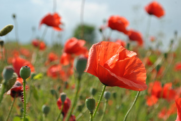 Similar image 997568